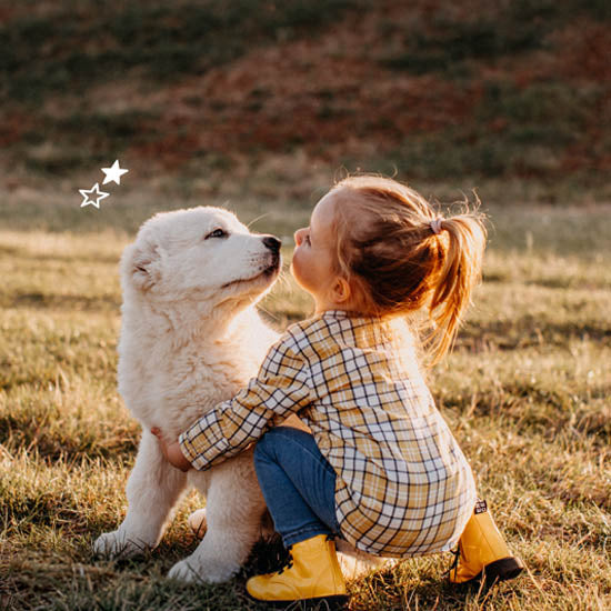 Bons hábitos de higiene dos cachorros