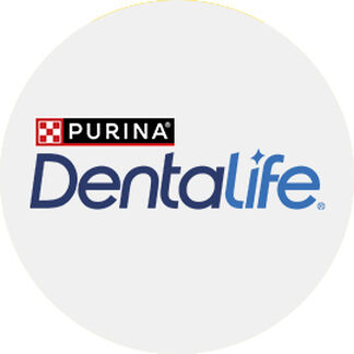 Dentallife Geral