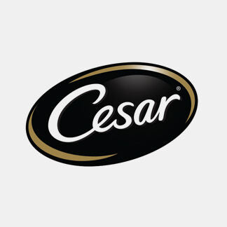 Cesar Geral