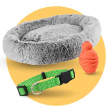 Promoções Acessórios Cão