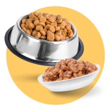 Promoções Alimentação Cão