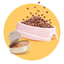 Promoções Alimentação Gato