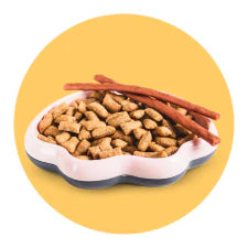 Promoções Snacks Gato