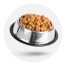 Alimentação