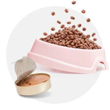 Alimentação