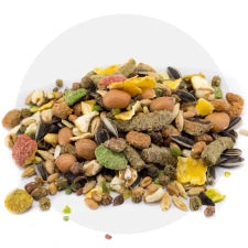 Alimentação