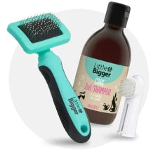 Grooming e Higiene