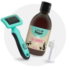 Grooming e Higiene