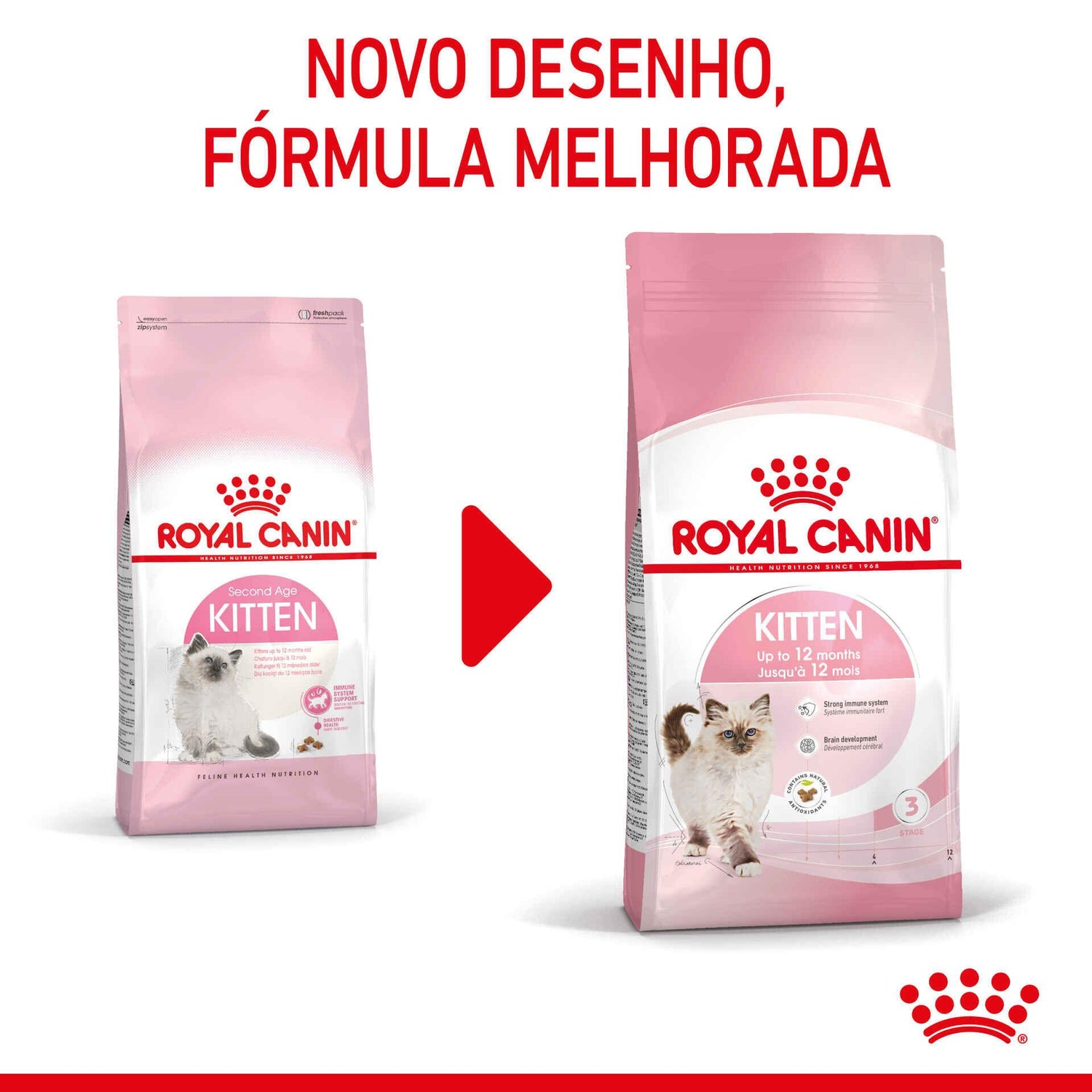 Ração para Gato Júnior Royal Canin