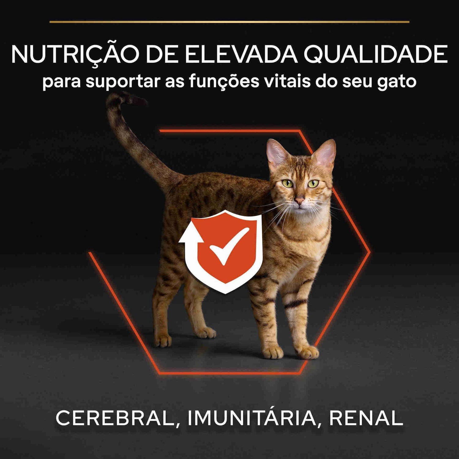 Ração para Gato Adulto Vital Functions Salmão Purina Pro Plan