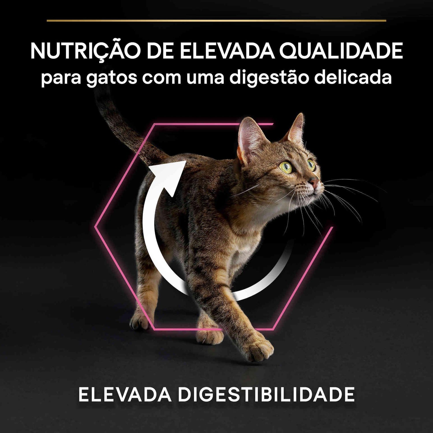 Ração para Gato Adulto OptiDigest Peru Purina Pro Plan