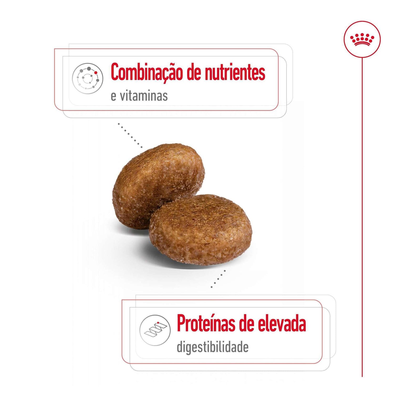 Ração para Cão Adulto Maxi Ageing 5+ Royal Canin