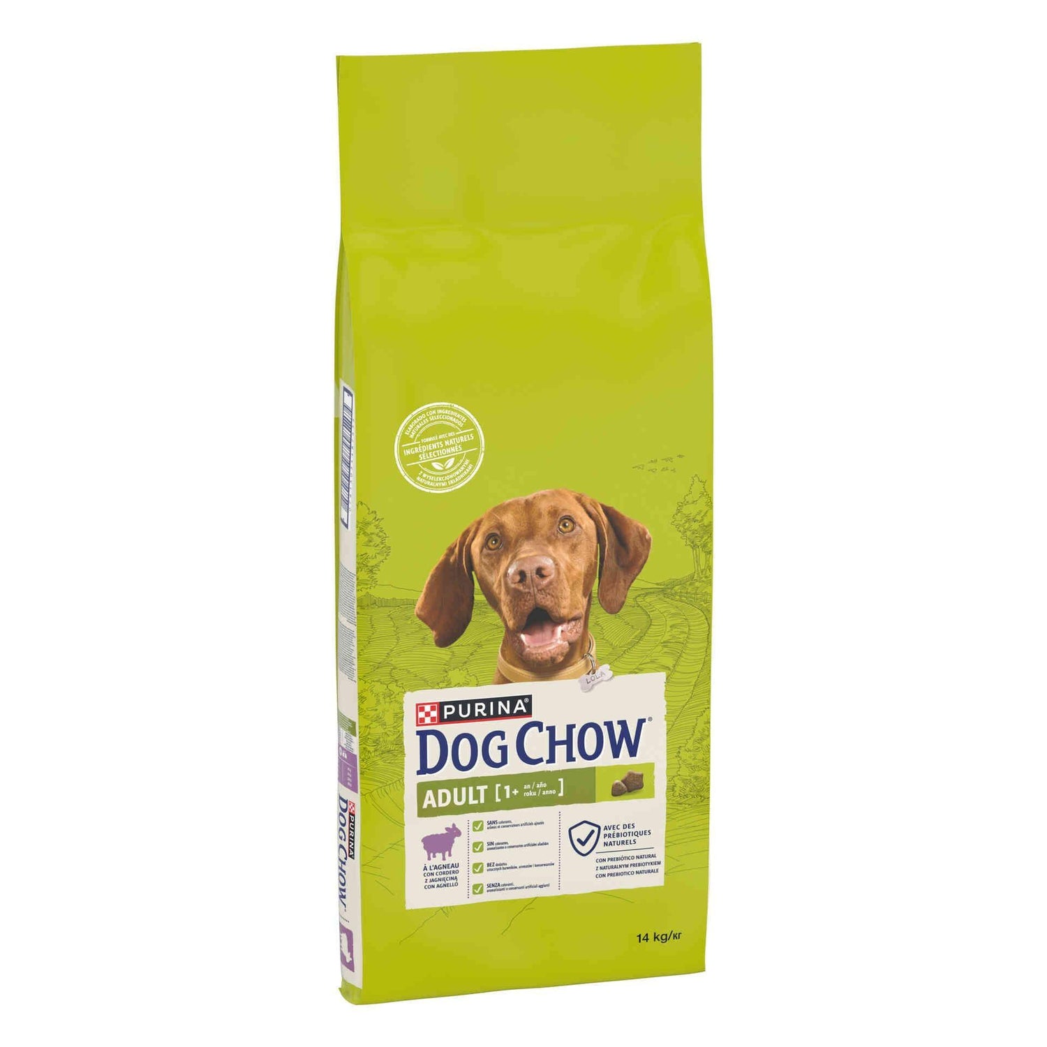 Ração para Cão Adulto Borrego Purina Dog Chow