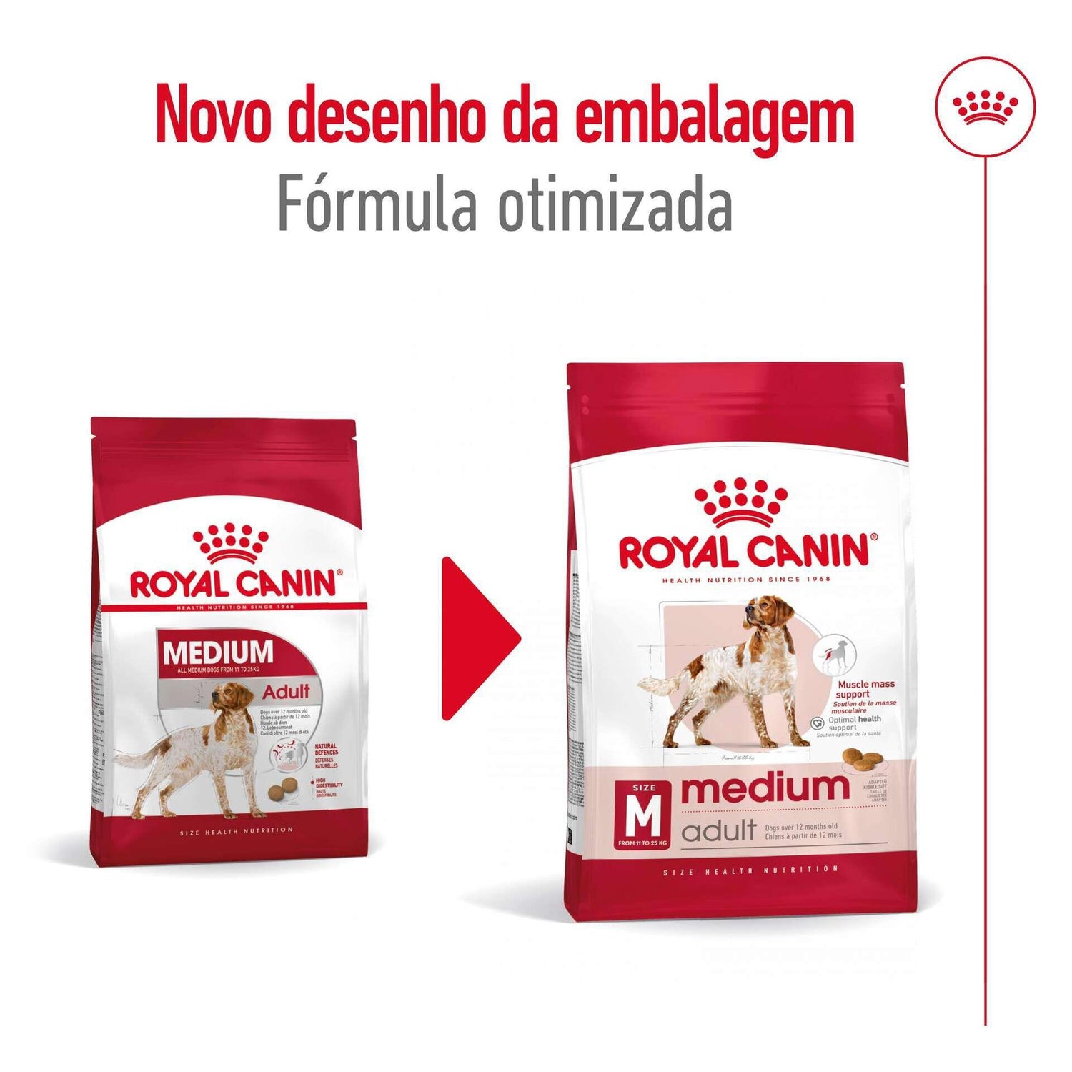 Ração para Cão Adulto Médio Royal Canin