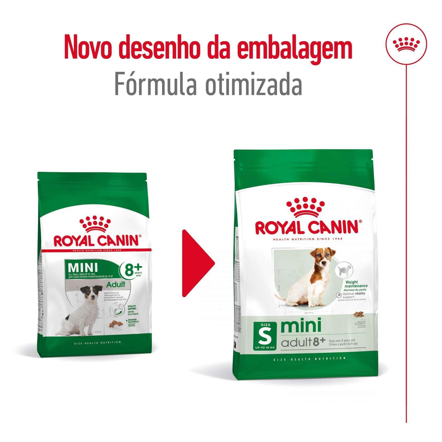 Ração para Cão Sénior Mini Ageing 8+ Royal Canin