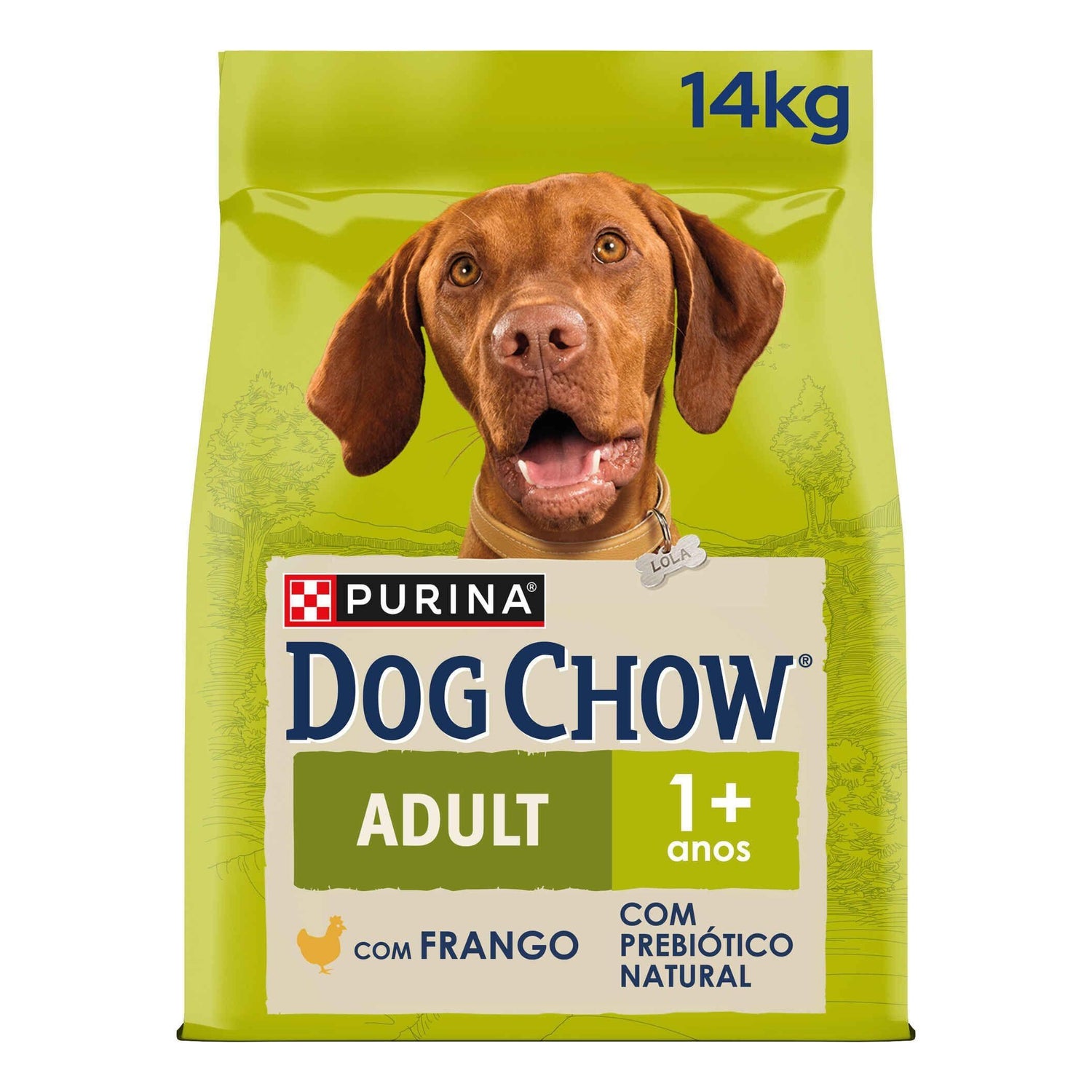 Ração para Cão Adulto Active Frango Purina Dog Chow