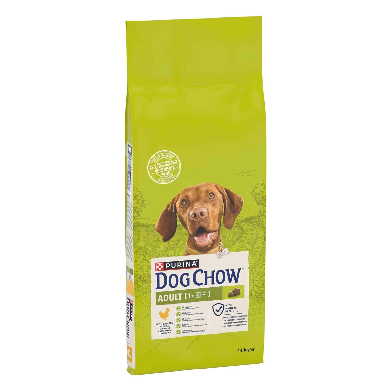 Ração para Cão Adulto Active Frango Purina Dog Chow