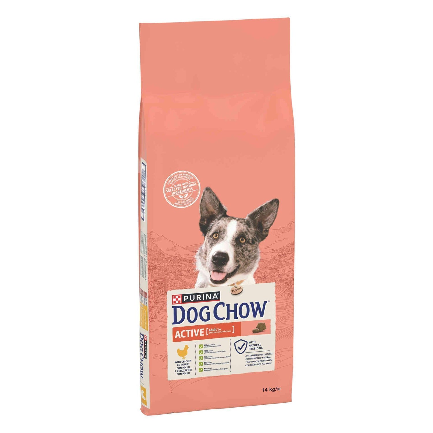 Ração para Cão Adulto Active Frango e Arroz Purina Dog Chow