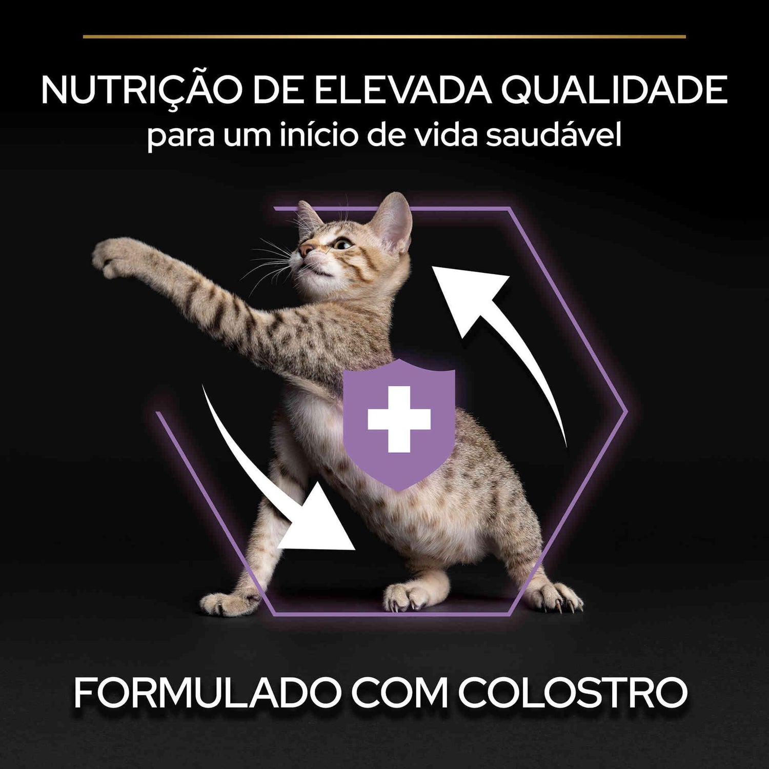Ração para Gato Júnior Healthy Start Frango Purina Pro Plan