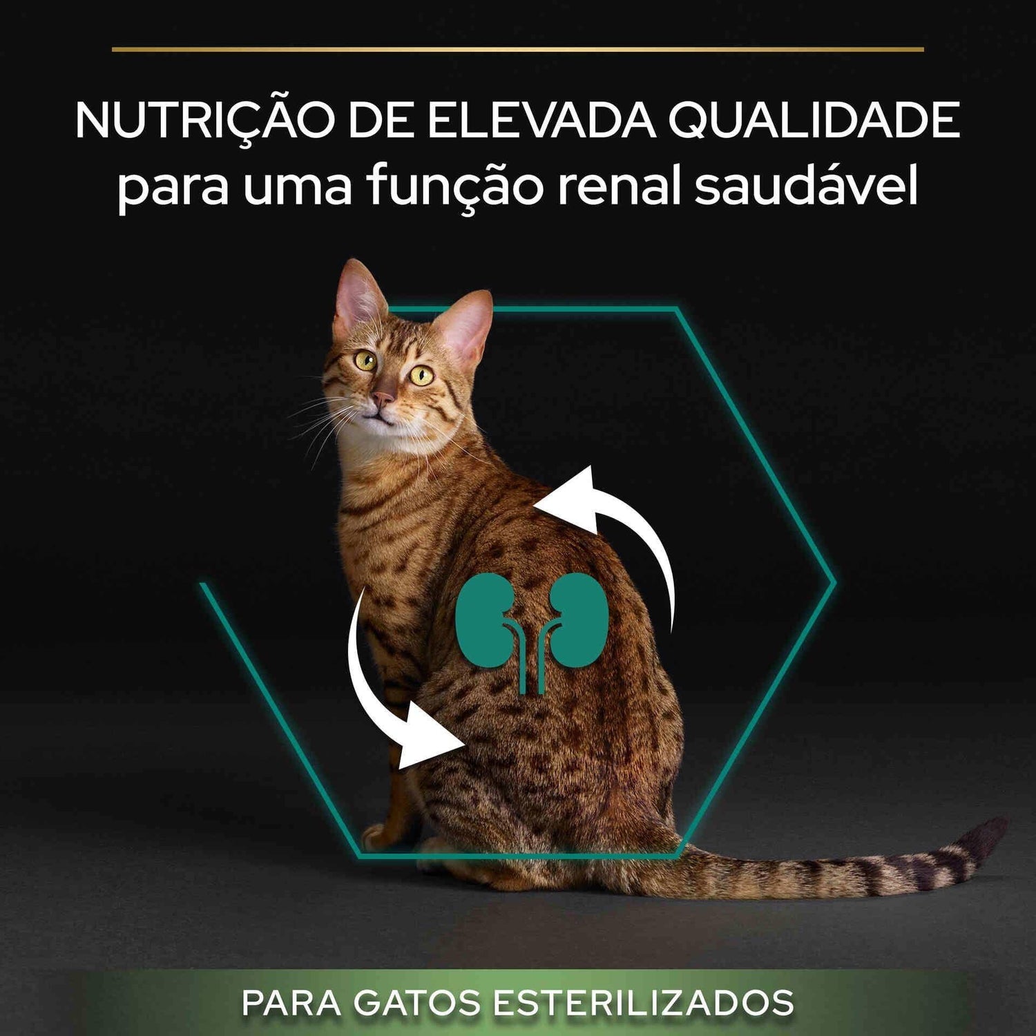 Ração para Gato Adulto Esterilizado Renal Plus Peru Purina Pro Plan