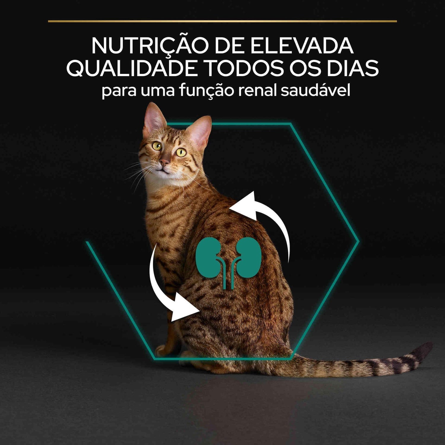 Ração para Gato Adulto Renal Plus Frango Purina Pro Plan