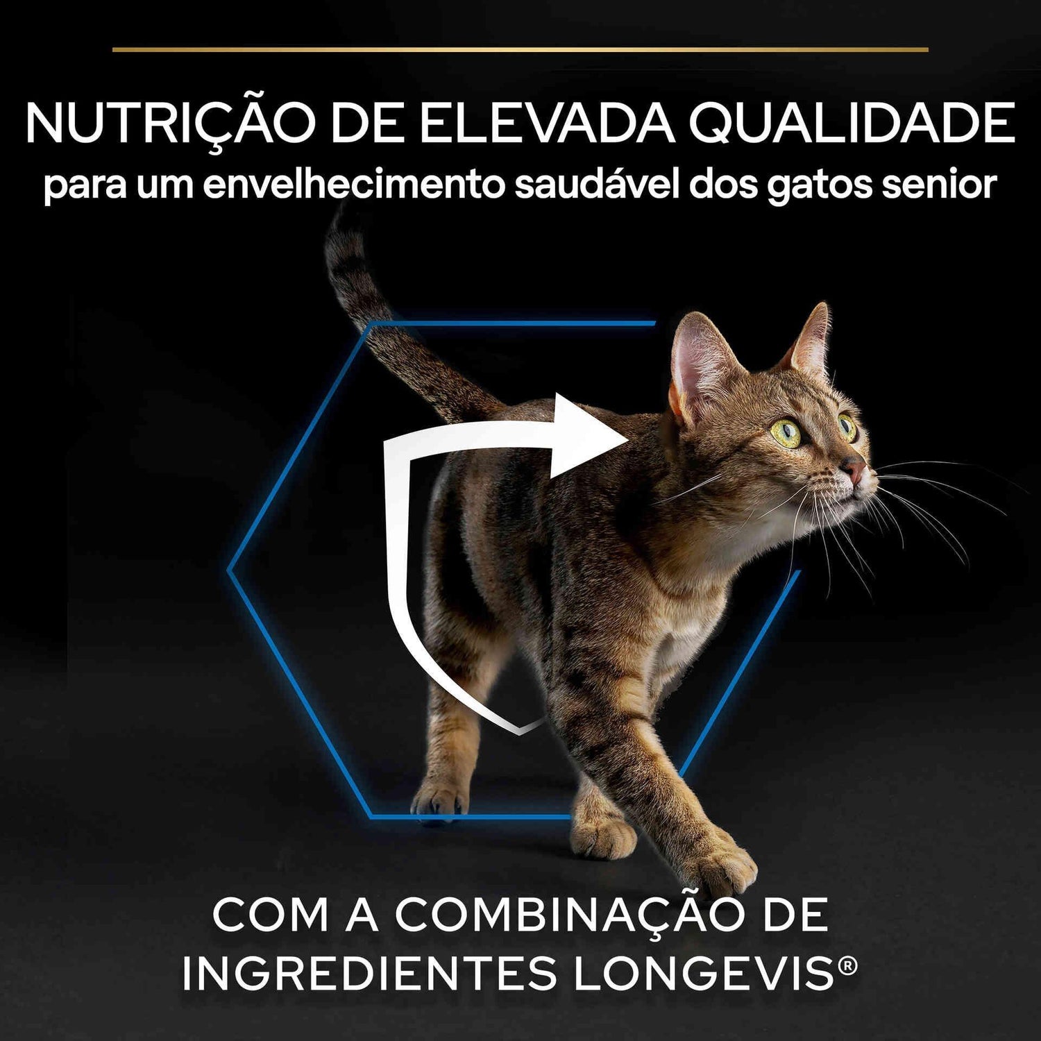 Ração para Gato Sénior Longevis Salmão Purina Pro Plan