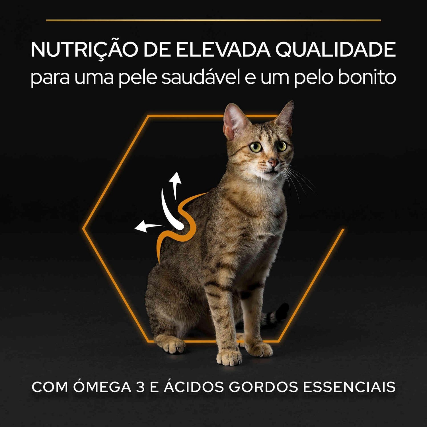 Ração para Gato Adulto Derma Care Salmão Purina Pro Plan