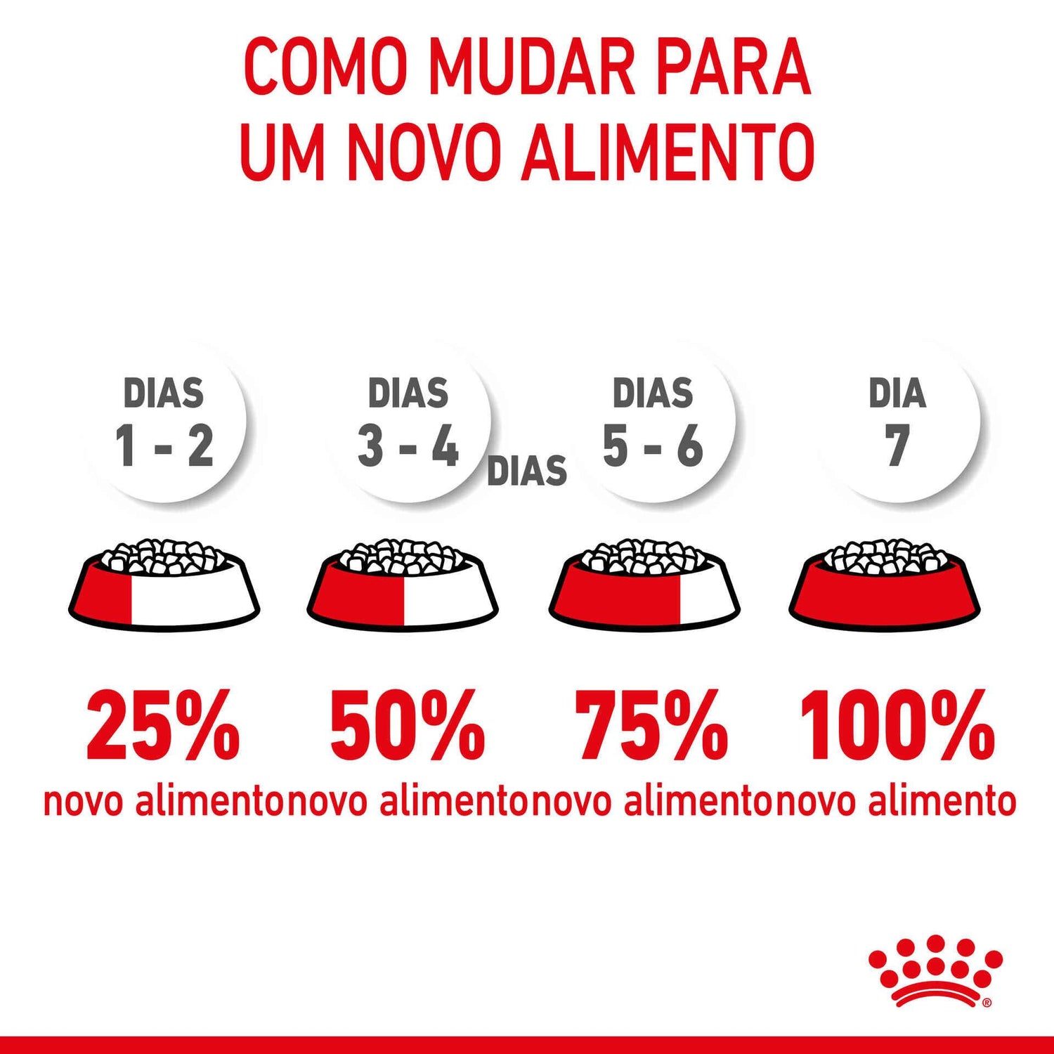 Ração para Gato Esterilizado Júnior Royal Canin