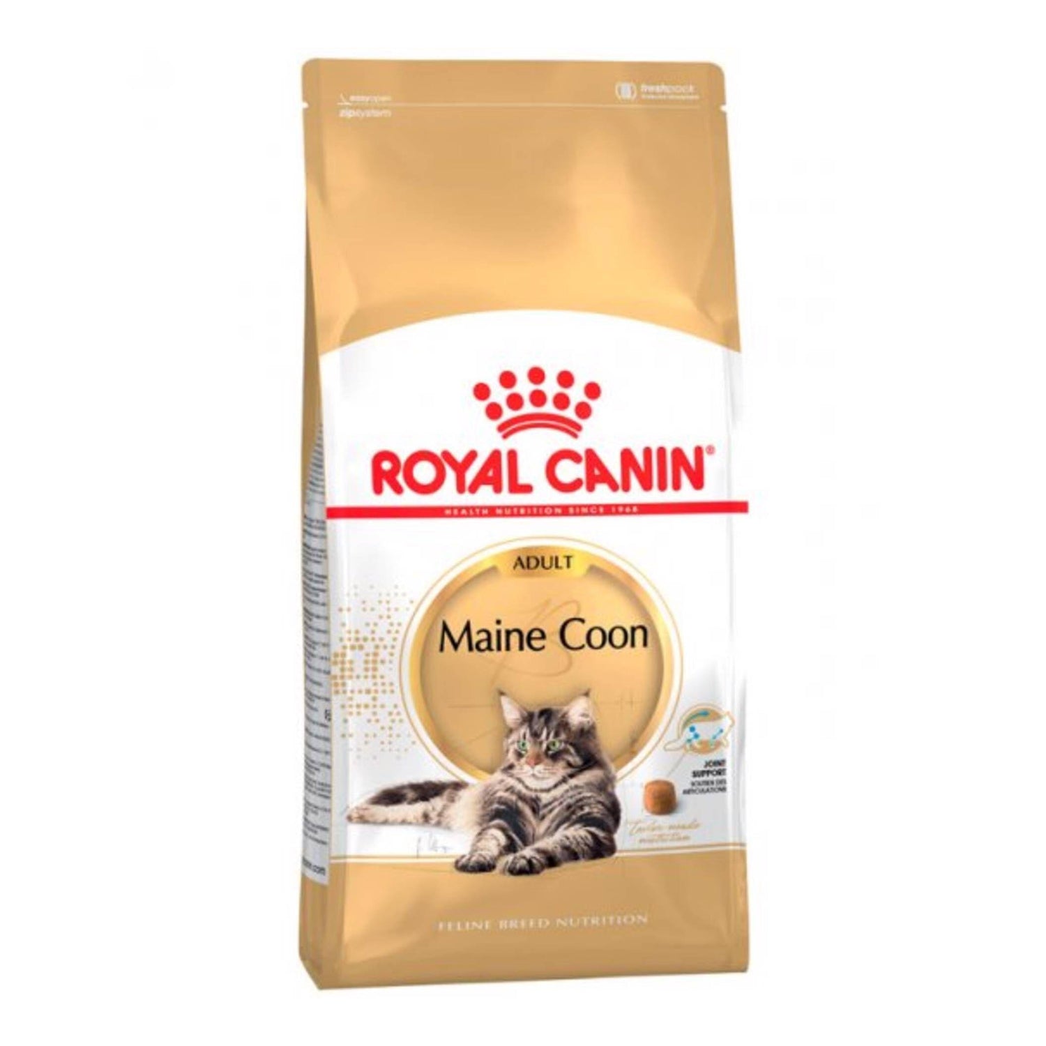 Ração para Gato Adulto Maine Coon Royal Canin