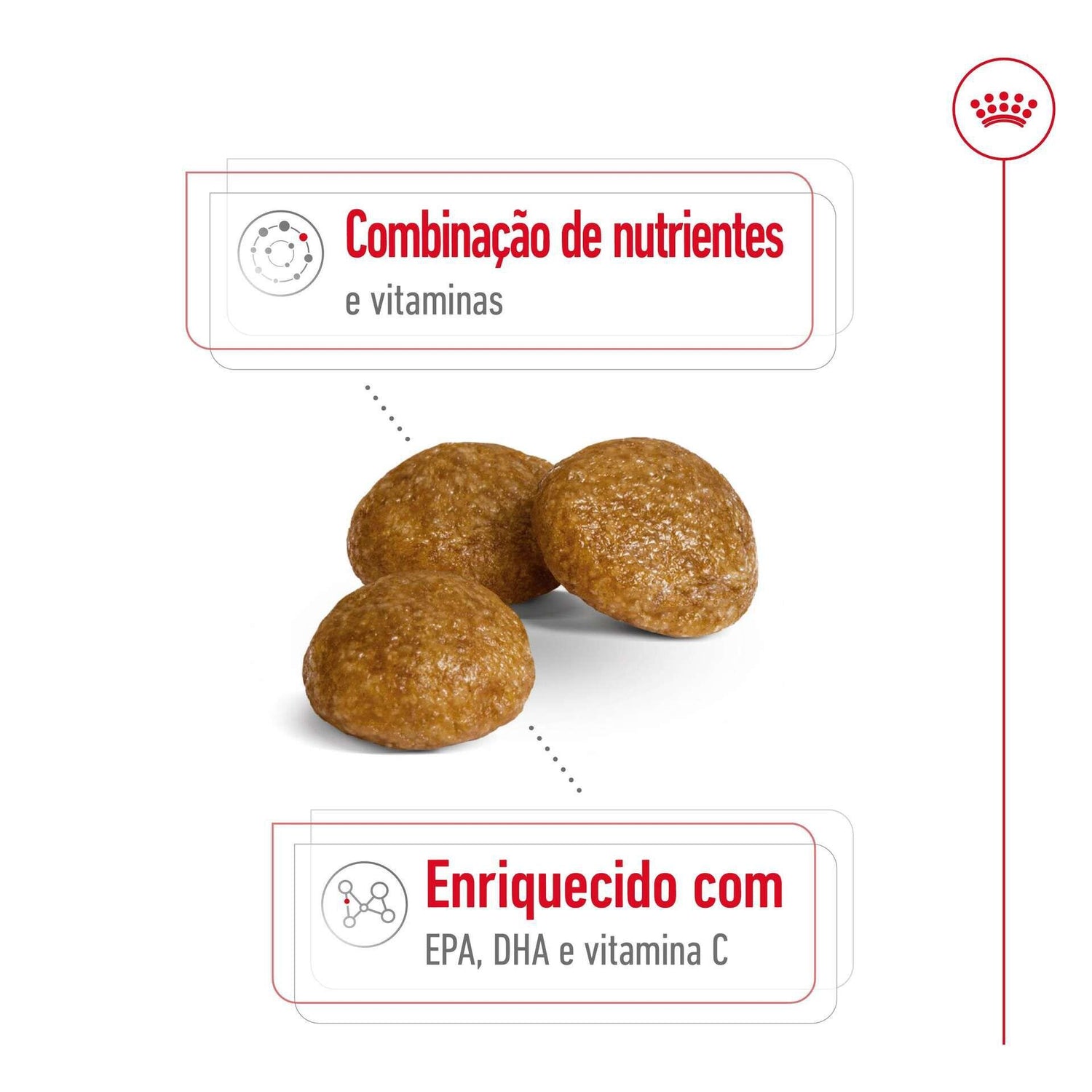 Ração para Cão Adulto Mini Ageing 8+ Royal Canin