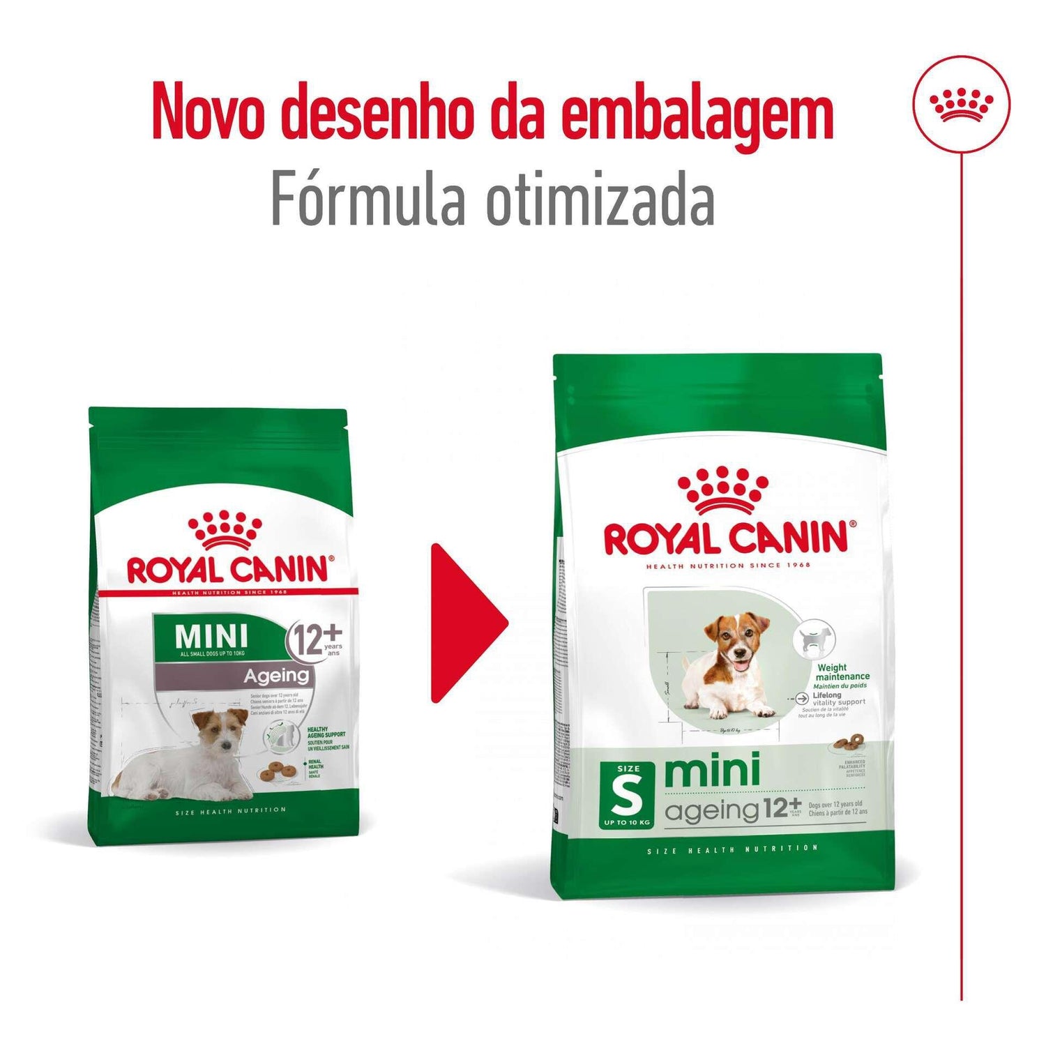 Ração para Cão Sénior Mini Ageing 12+ Royal Canin