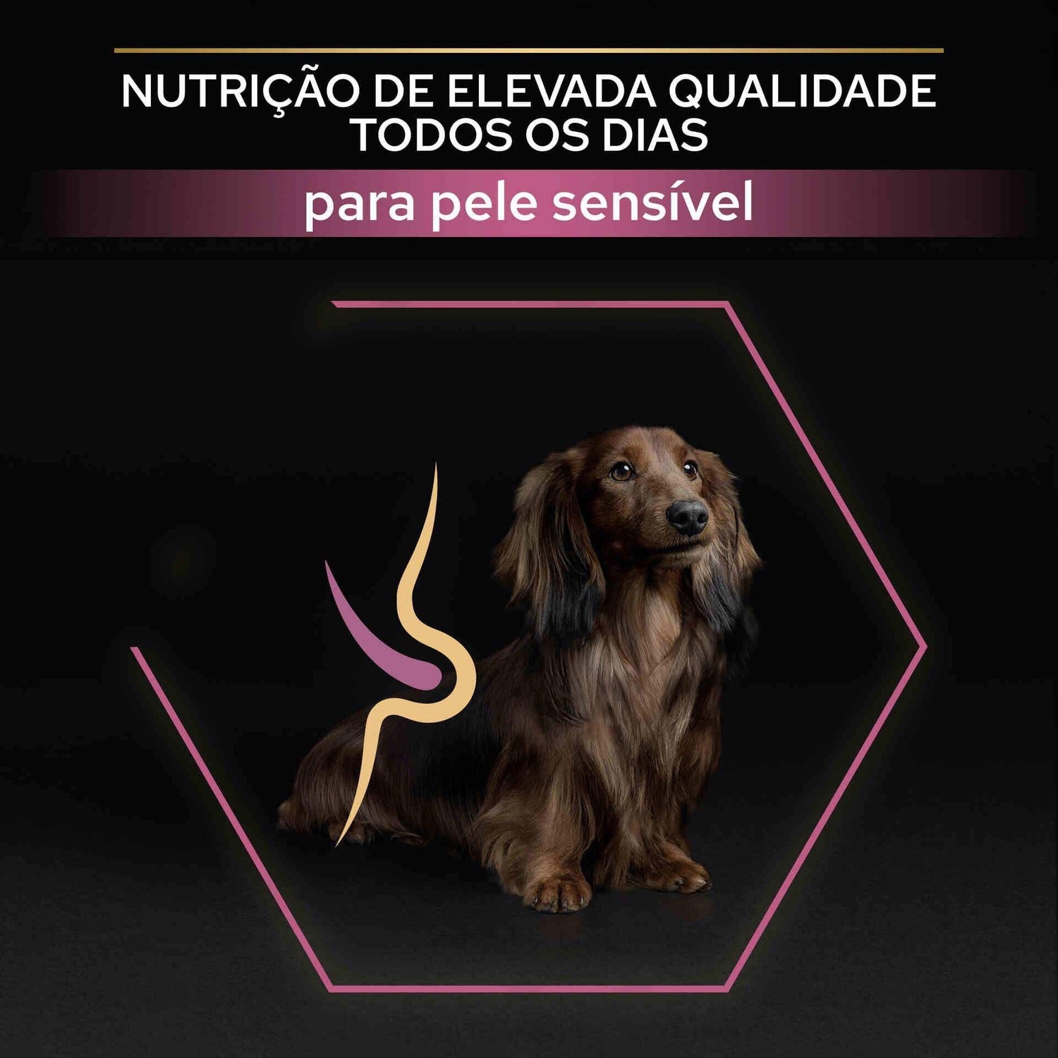 Ração para Cão Adulto Mini Sensitive Skin Salmão Purina Pro Plan