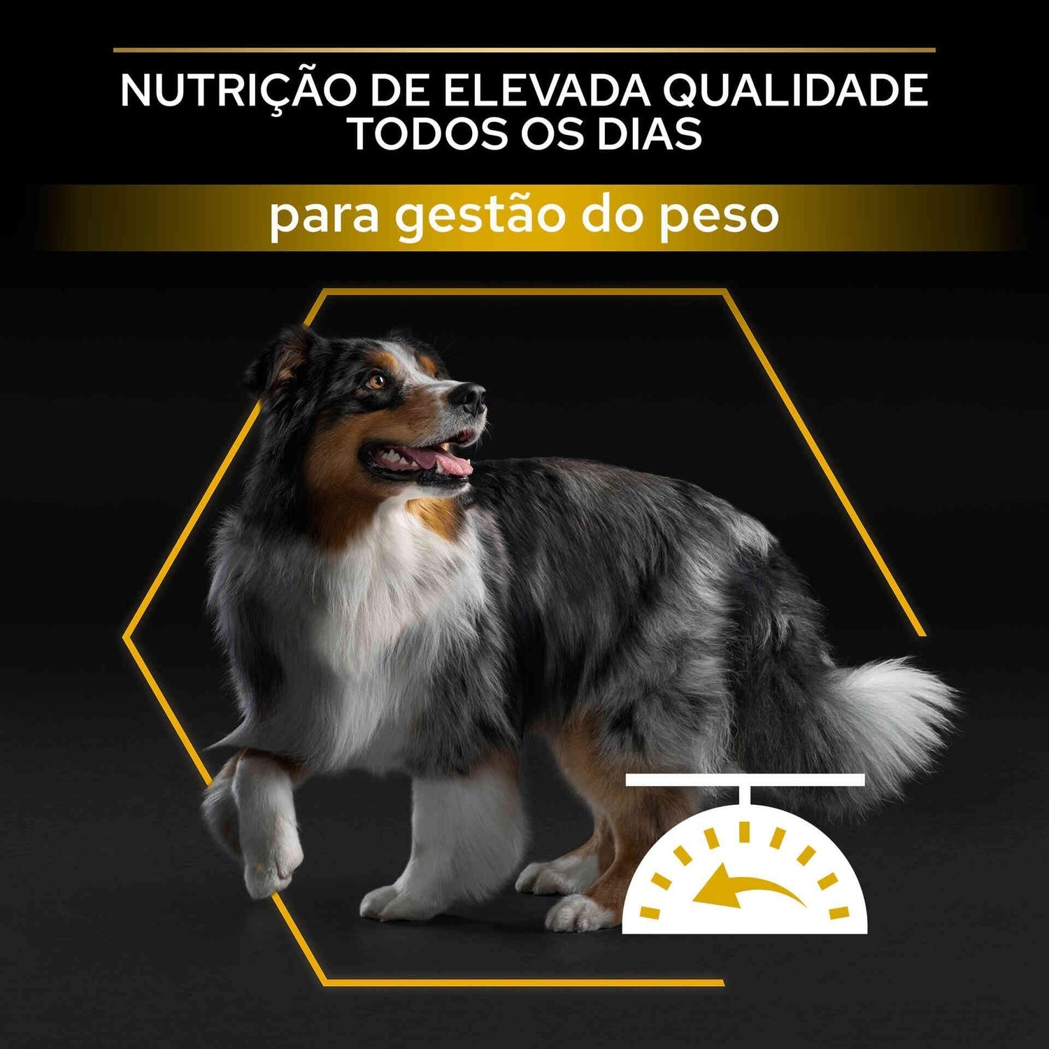 Ração para Cão Adulto Esterilizado Light Frango Purina Pro Plan