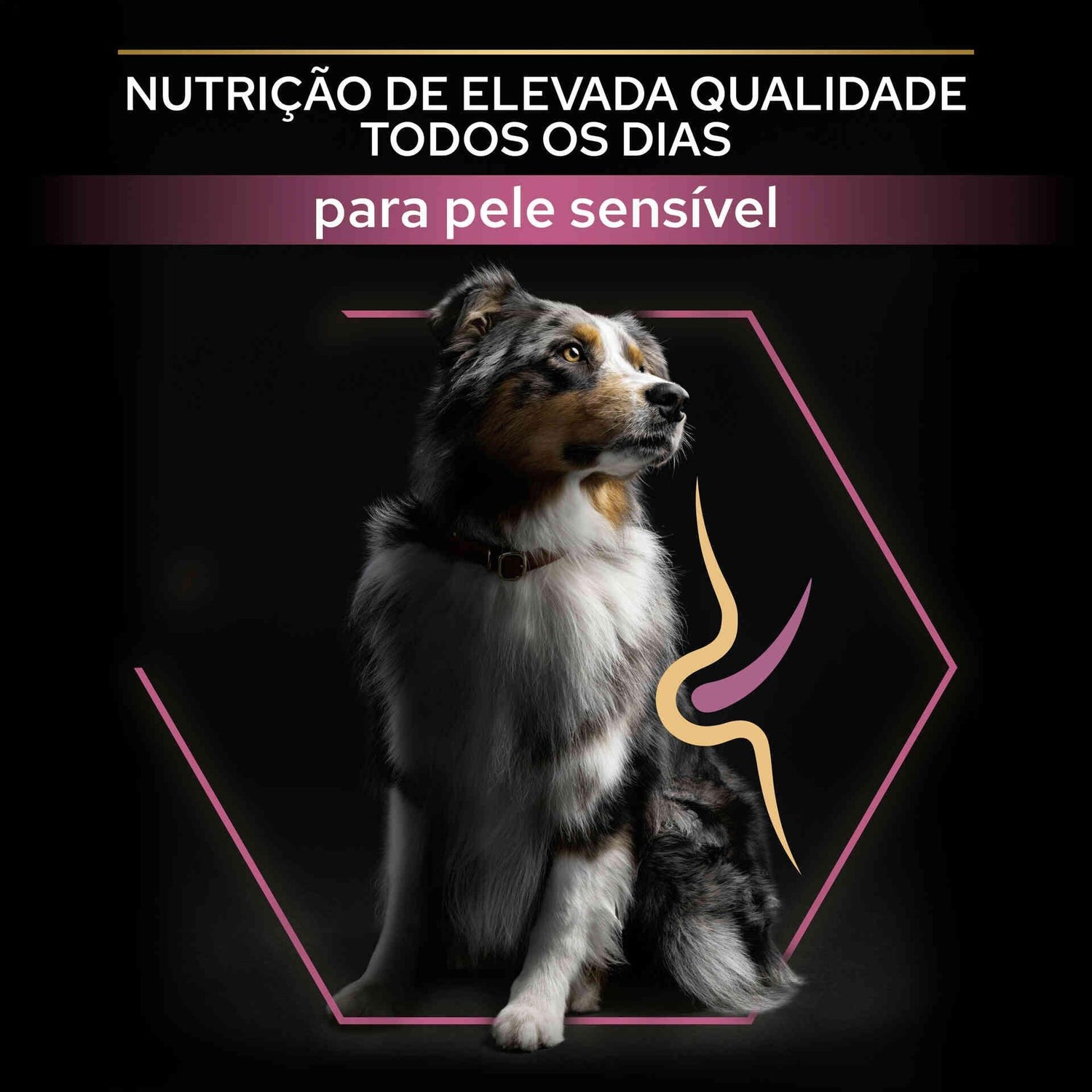Ração para Cão Adulto Médio Sensitive Skin Salmão Purina Pro Plan