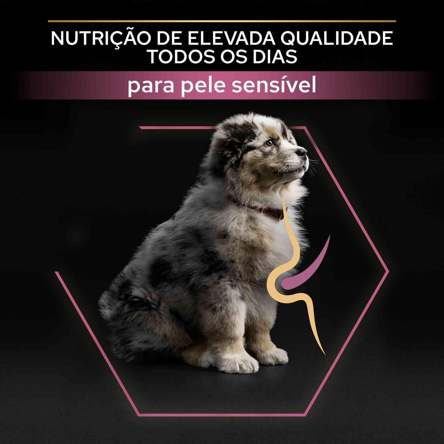 Ração para Cão Júnior Médio Sensitive Skin Salmão Purina Pro Plan