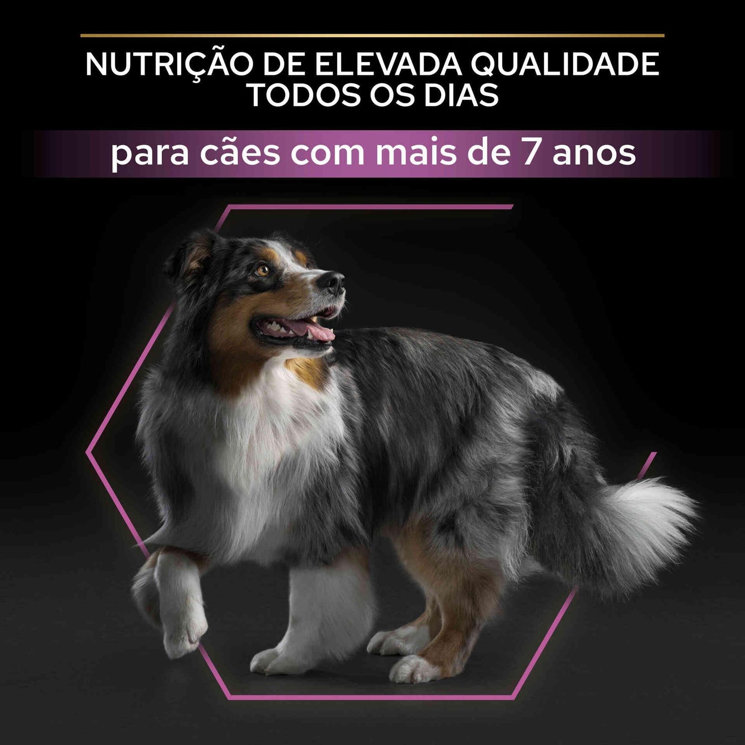 Ração para Cão Adulto Médio e Maxi Age Defence Frango Purina Pro Plan