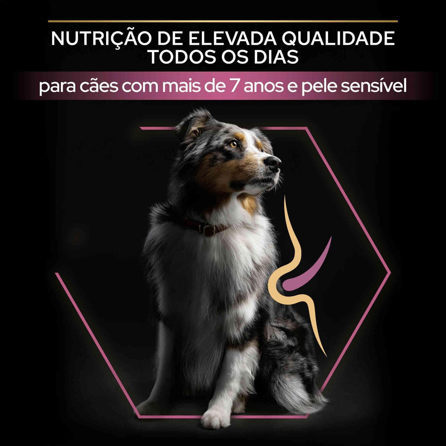 Ração para Cão Adulto Ageing 7+ Médio e Maxi Sensitive Skin Salmão Purina Pro Plan