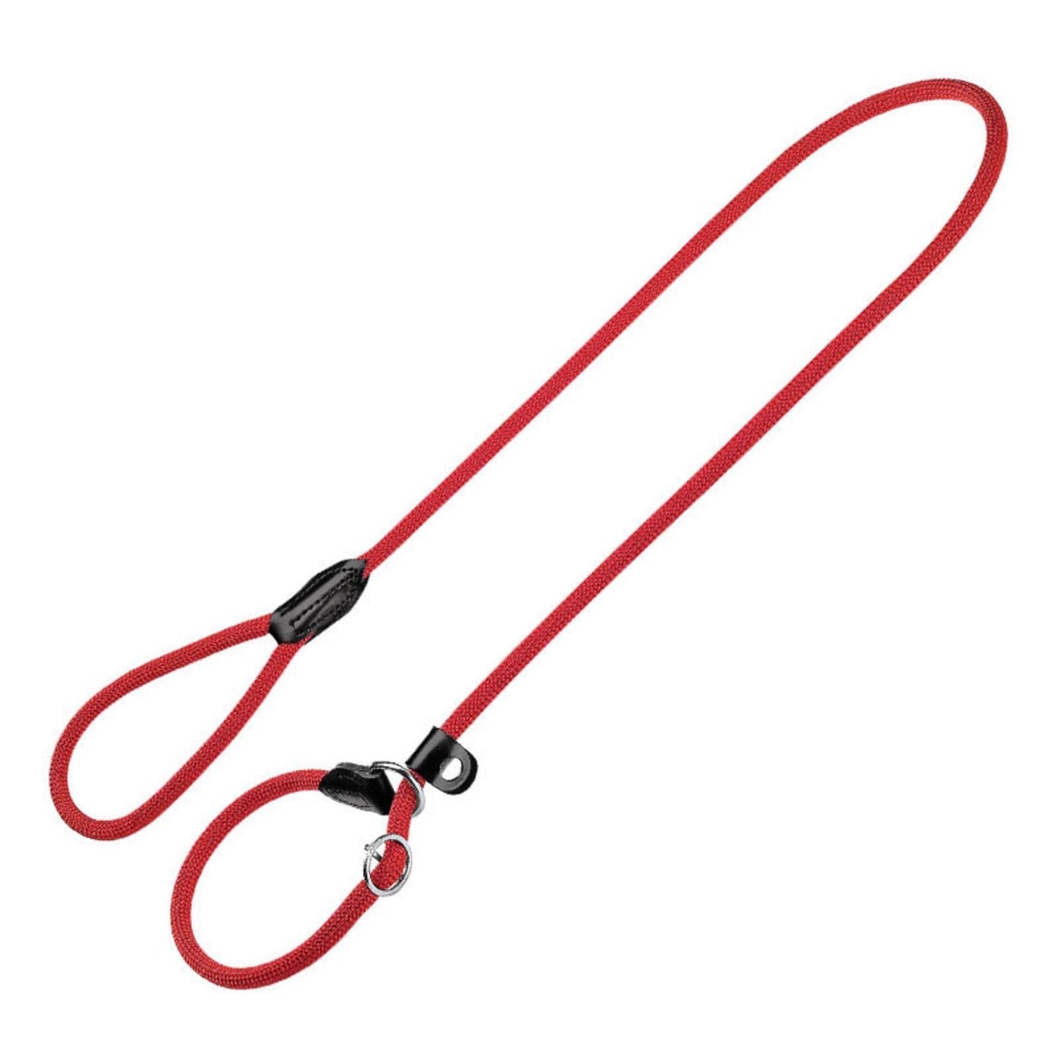 Trela para Cão Retriver Hunter