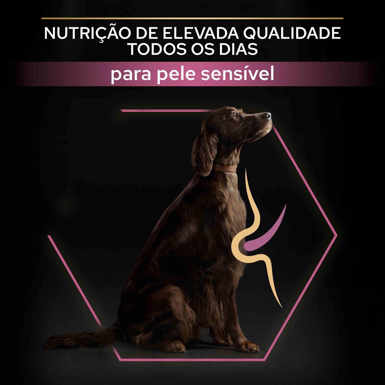 Ração para Cão Adulto Maxi Athletic Sensitive Skin Purina Pro Plan