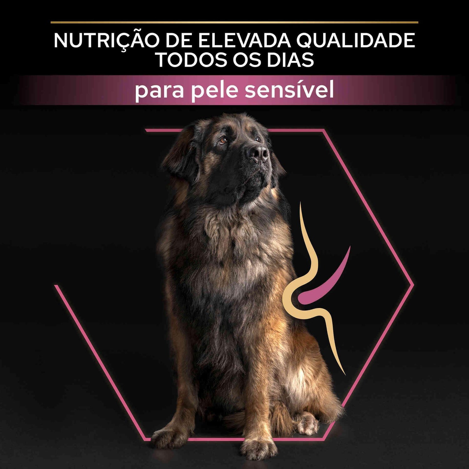 Ração para Cão Maxi Robust Sensitive Skin Salmão Purina Pro Plan