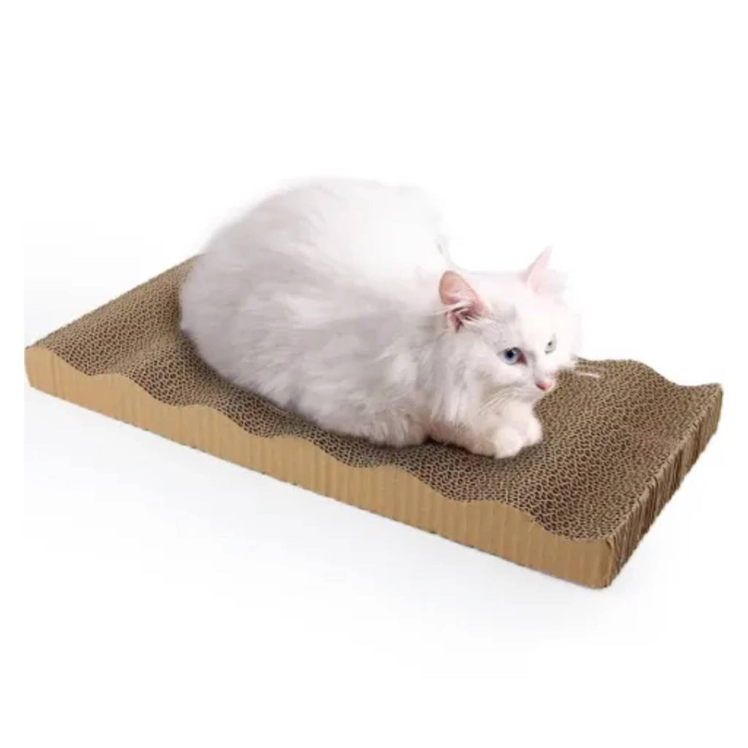 Afiador para Gato Cartão Duplo All For Paws