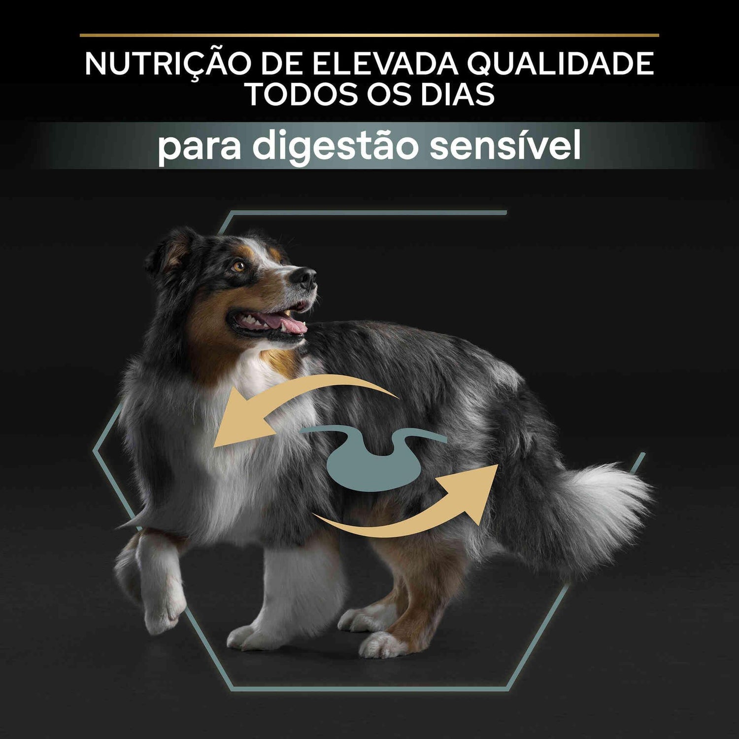 Ração para Cão Adulto Médio Sensitive Digestion Borrego Purina Pro Plan