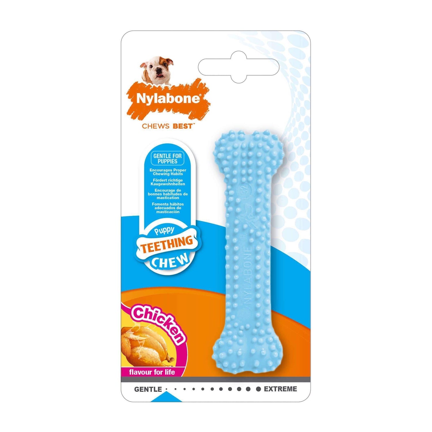 Osso para Cão Júnior Dental Nylabone