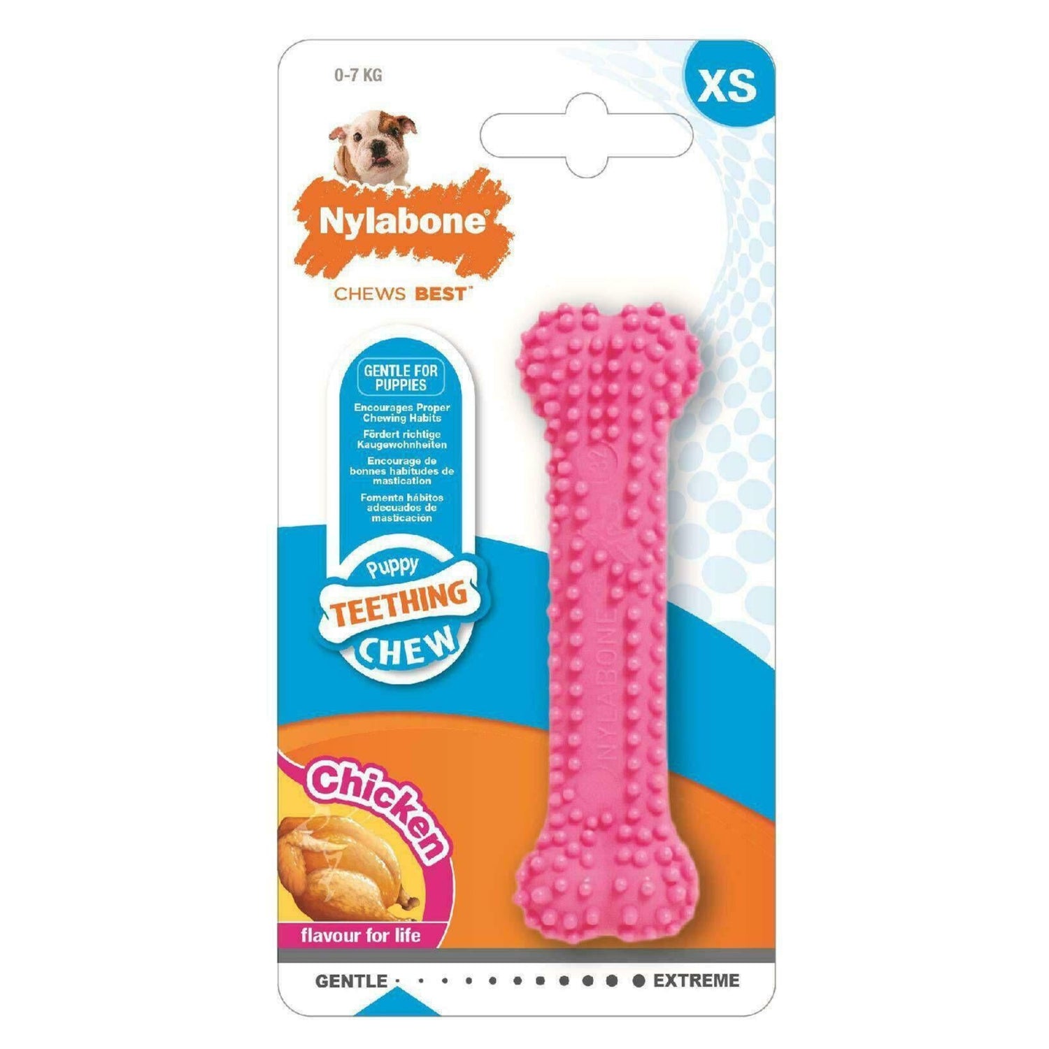 Osso para Cão Júnior Dental Nylabone