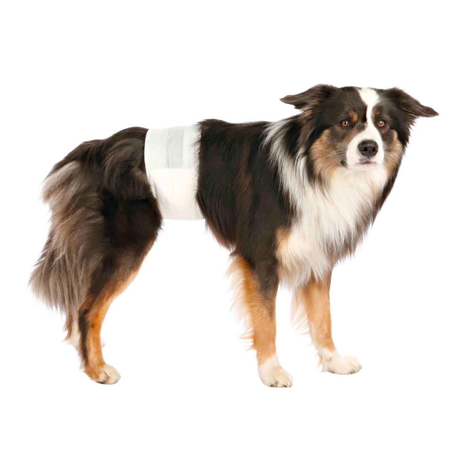 Fraldas Descartáveis para Cão Trixie