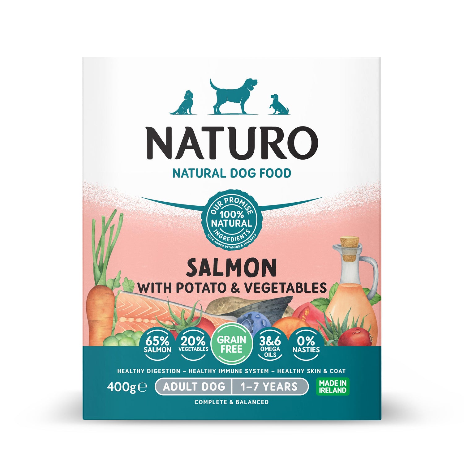 Comida Húmida para Cão Salmão Naturo