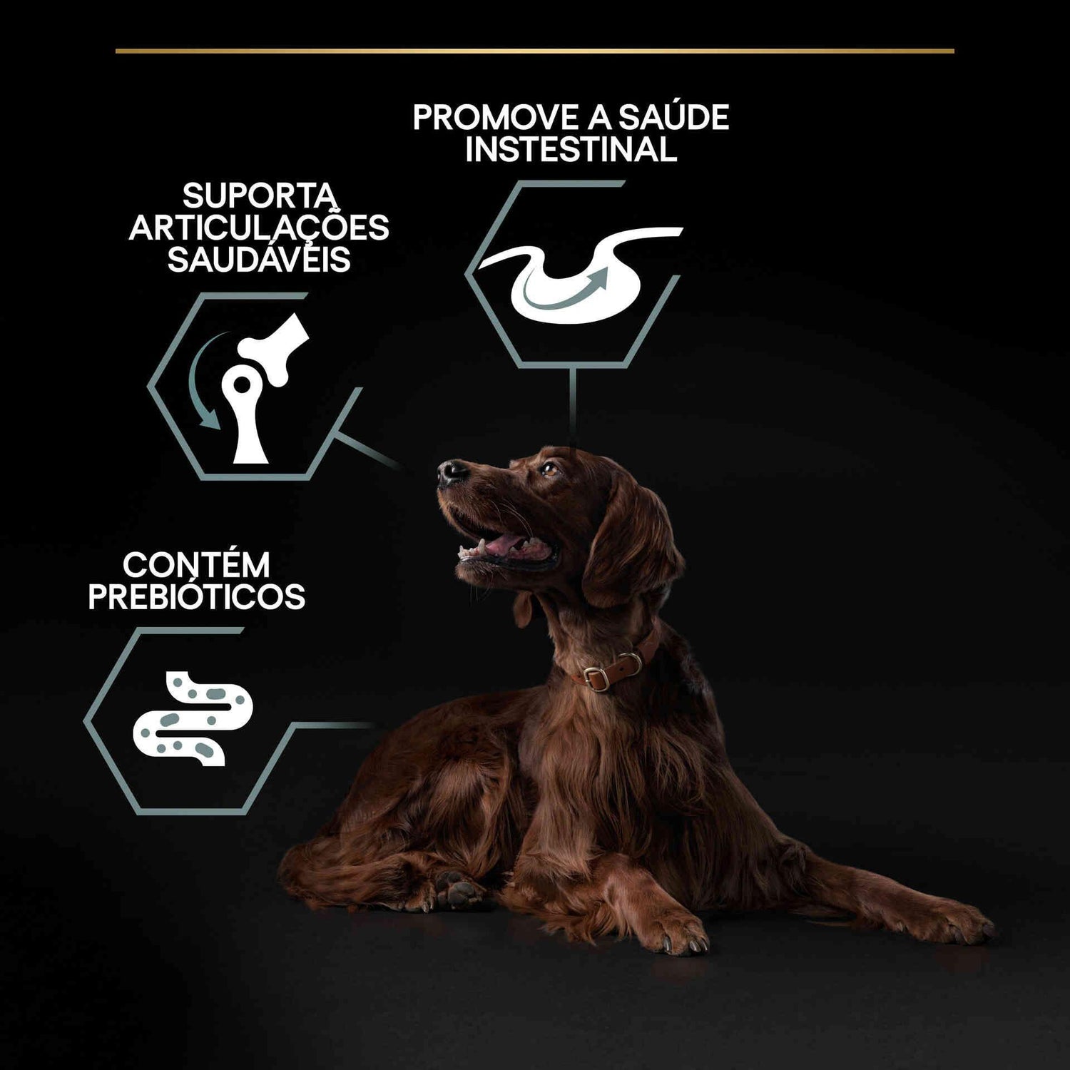 Ração para Cão Adulto Maxi Athletic Sensitive Digestion Borrego Purina Pro Plan