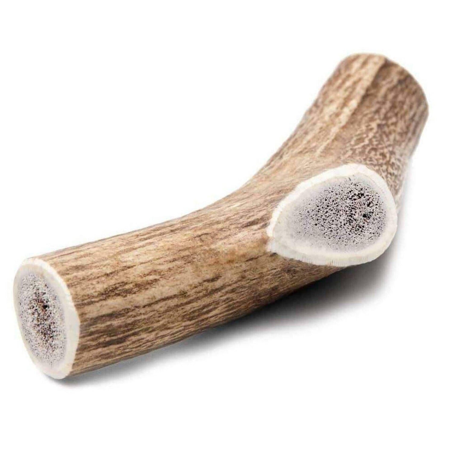 Haste de Veado para Cão S Natural Horn