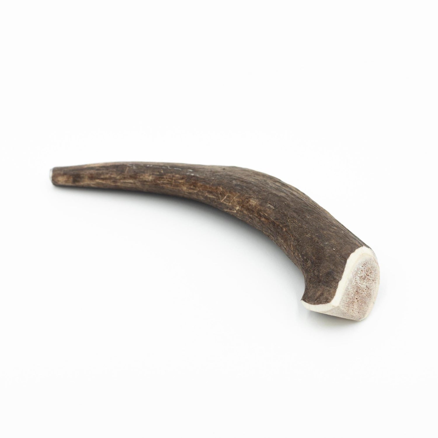 Haste de Veado para Cão Natural L Kornus