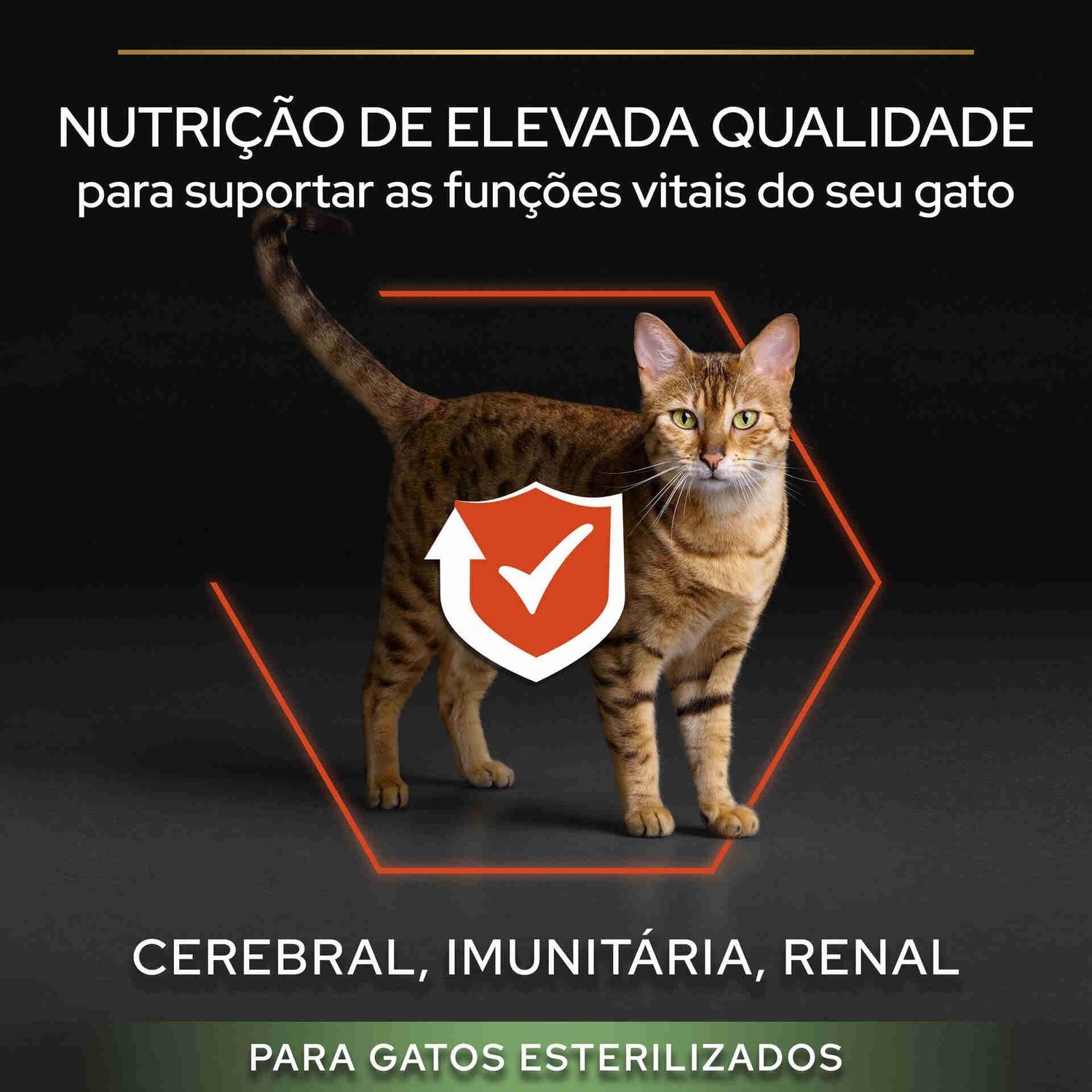 Ração para Gato Adulto Esterilizado Vital Functions Salmão Purina Pro Plan